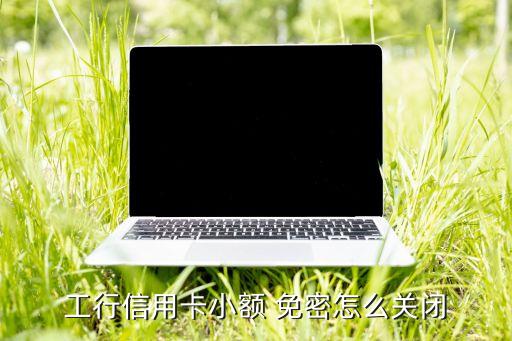 工行信用卡小額 免密怎么關閉