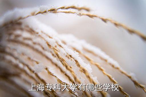  上海?？拼髮W(xué)有哪些學(xué)校