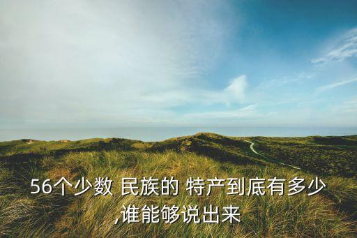 56個(gè)少數(shù) 民族的 特產(chǎn)到底有多少,誰能夠說出來
