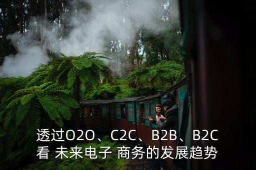透過O2O、C2C、B2B、B2C看 未來電子 商務的發(fā)展趨勢