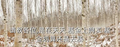 請(qǐng)教各位,是在天天 基金上購(gòu)買 基金劃算還是去基