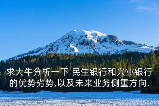 求大牛分析一下 民生銀行和興業(yè)銀行的優(yōu)勢(shì)劣勢(shì),以及未來(lái)業(yè)務(wù)側(cè)重方向...