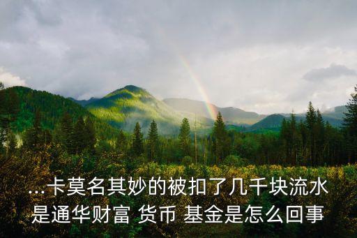 騙子用銀行卡里錢(qián)買了貨幣基金