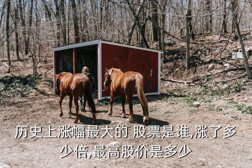 歷史上漲幅最大的 股票是誰,漲了多少倍,最高股價是多少