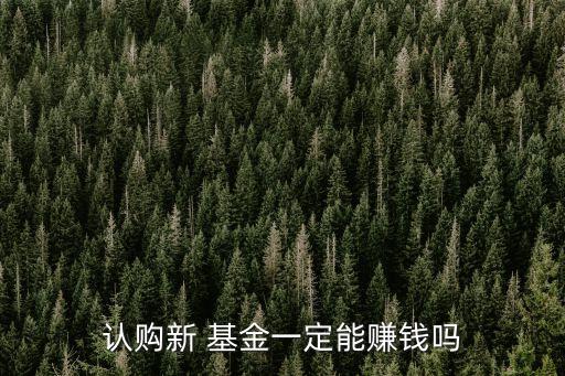 認(rèn)購(gòu)新 基金一定能賺錢(qián)嗎