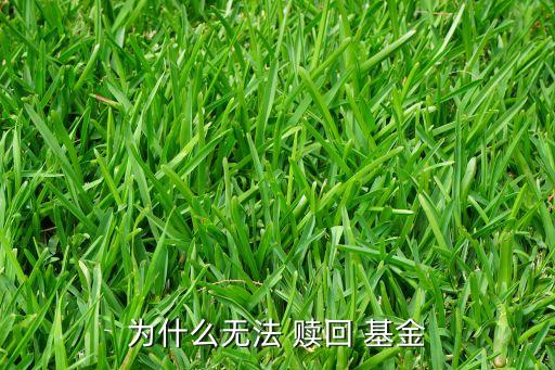 指數(shù)基金能部分贖回嗎,ETF指數(shù)基金可以隨時(shí)贖回嗎