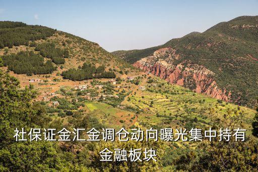 全國社?；?01組合,社?；?01組合最新持股