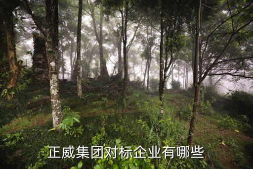 上海長運國際貿易有限公司,亞馬遜上海國際貿易有限公司