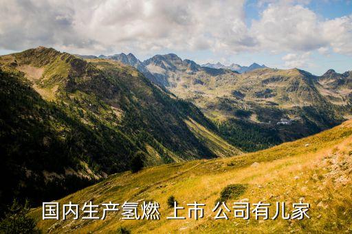 國(guó)內(nèi)生產(chǎn)氫燃 上市 公司有兒家