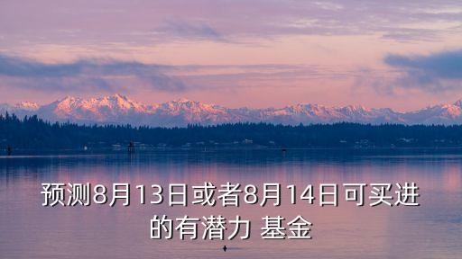 預(yù)測8月13日或者8月14日可買進的有潛力 基金