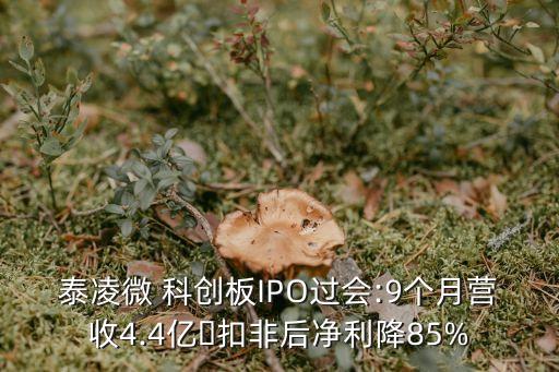 上?？苿?chuàng)集團(tuán)朱民,上海藍(lán)灣科創(chuàng)資本集團(tuán)