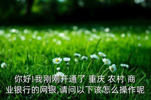你好!我剛剛開通了 重慶 農(nóng)村 商業(yè)銀行的網(wǎng)銀,請(qǐng)問以下該怎么操作呢