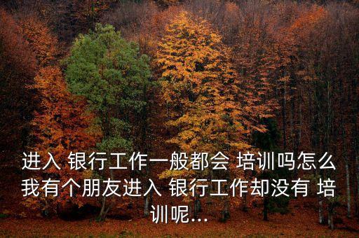 進入 銀行工作一般都會 培訓嗎怎么我有個朋友進入 銀行工作卻沒有 培訓呢...