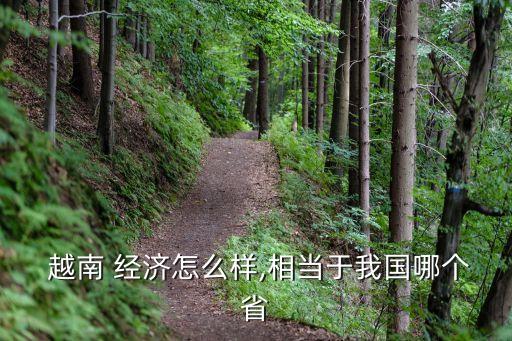  越南 經(jīng)濟(jì)怎么樣,相當(dāng)于我國哪個(gè)省
