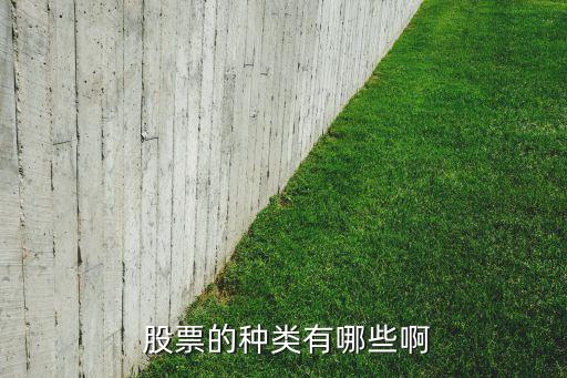 股票概念分類大全,行業(yè)和概念哪個(gè)分類對股票更有意義