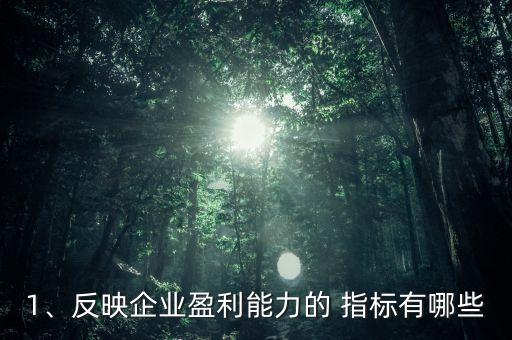 1、反映企業(yè)盈利能力的 指標(biāo)有哪些