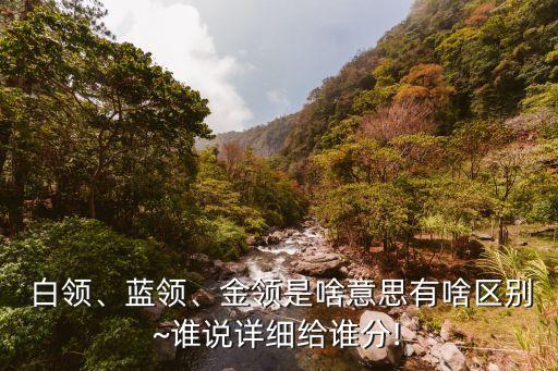  白領(lǐng)、藍(lán)領(lǐng)、金領(lǐng)是啥意思有啥區(qū)別~誰說詳細(xì)給誰分!