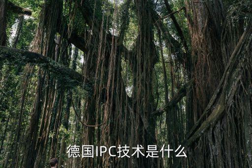 請(qǐng)問(wèn)誰(shuí)知道德國(guó)ipc金融公司