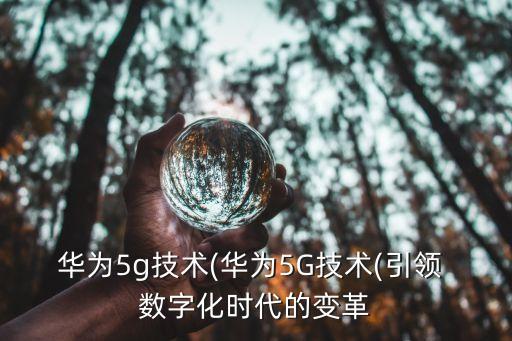 華為5g技術(華為5G技術(引領 數(shù)字化時代的變革