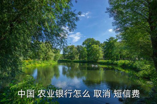 中國 農業(yè)銀行怎么 取消 短信費