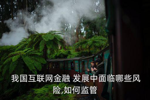 我國網(wǎng)絡銀行發(fā)展問題與對策