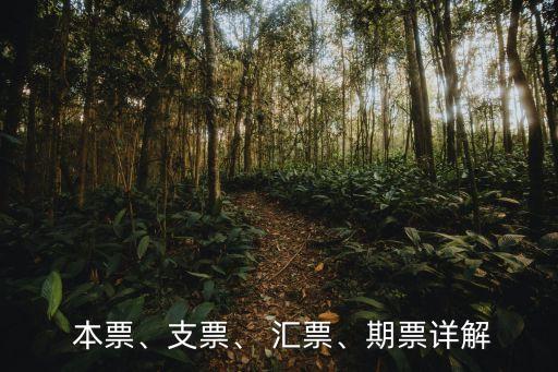  本票、支票、 匯票、期票詳解
