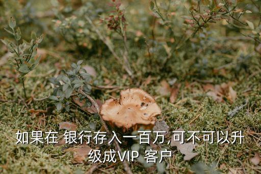 100萬(wàn)存銀行是普通客戶(hù)