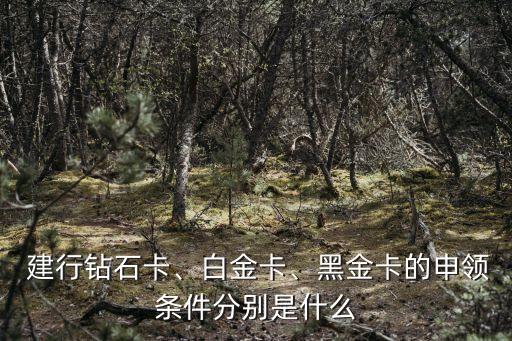  建行鉆石卡、白金卡、黑金卡的申領(lǐng)條件分別是什么