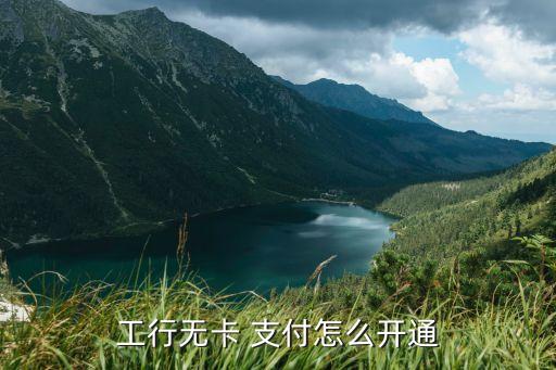 工行無(wú)卡 支付怎么開(kāi)通
