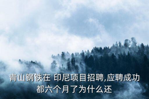 青山鋼鐵在 印尼項(xiàng)目招聘,應(yīng)聘成功都六個月了為什么還