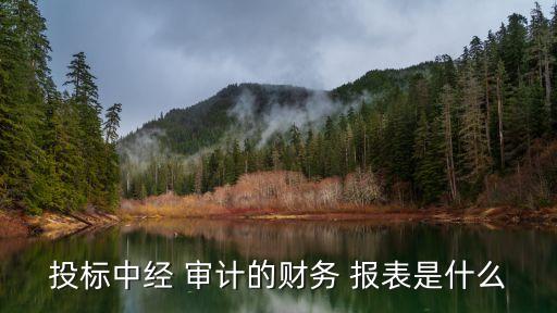 投標中經(jīng) 審計的財務 報表是什么