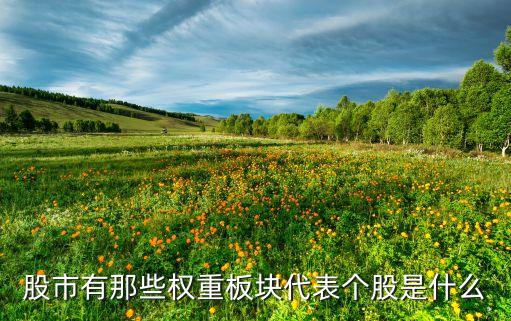 000061農(nóng)產(chǎn)品股票吧,農(nóng)產(chǎn)品股票000061長(zhǎng)線(xiàn)價(jià)值