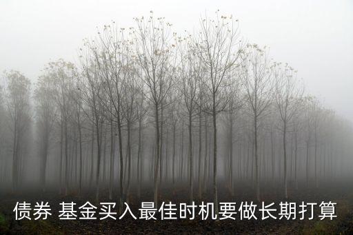債券 基金買入最佳時機(jī)要做長期打算