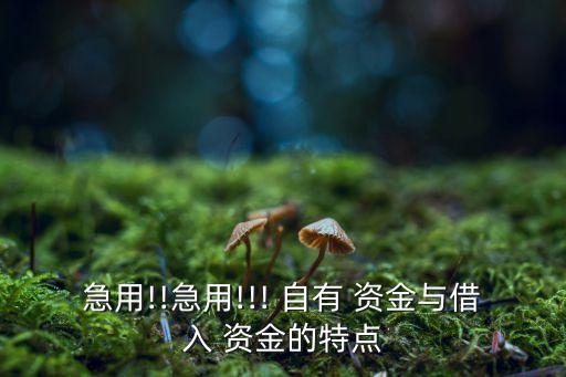 急用!!急用!!! 自有 資金與借入 資金的特點