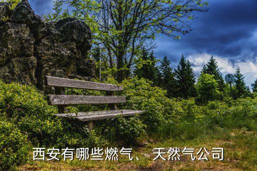 西安有哪些燃氣、 天然氣公司