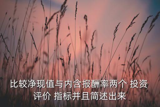 比較凈現(xiàn)值與內(nèi)含報(bào)酬率兩個(gè) 投資 評(píng)價(jià) 指標(biāo)并且簡述出來