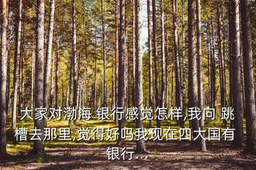 大家對(duì)渤海 銀行感覺怎樣,我向 跳槽去那里,覺得好嗎我現(xiàn)在四大國(guó)有 銀行...
