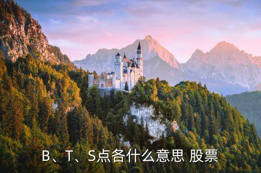 B、T、S點各什么意思 股票