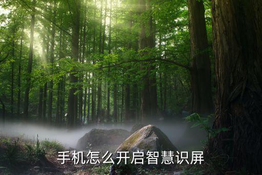 手機(jī)怎么開啟智慧識屏