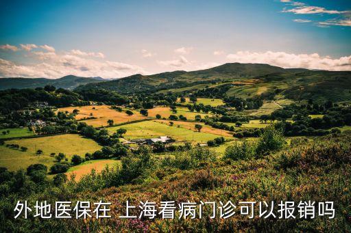 外地醫(yī)保在 上海看病門診可以報銷嗎