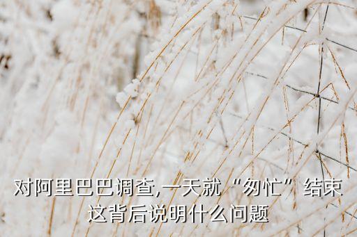 對阿里巴巴調(diào)查,一天就“匆忙”結束這背后說明什么問題
