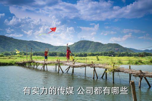 演出類(lèi)上市公司,演出經(jīng)紀(jì) 上市公司