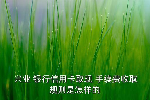 興業(yè)銀行手續(xù)費標(biāo)準(zhǔn),刷興業(yè)銀行信用卡手續(xù)費標(biāo)準(zhǔn)