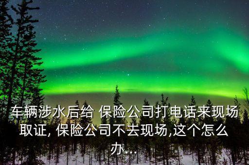 保險公司沒有救援怎么辦