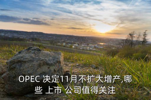 OPEC 決定11月不擴大增產(chǎn),哪些 上市 公司值得關注
