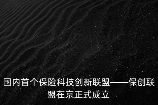 國內(nèi)首個(gè)保險(xiǎn)科技創(chuàng)新聯(lián)盟——保創(chuàng)聯(lián)盟在京正式成立