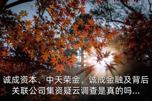 誠成資本、中天榮金、誠成金融及背后關(guān)聯(lián)公司集資疑云調(diào)查是真的嗎...