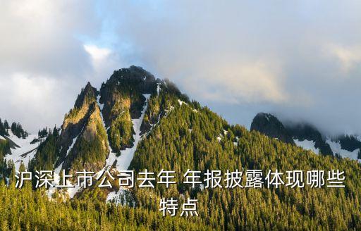 滬深上市公司去年 年報披露體現(xiàn)哪些特點(diǎn)