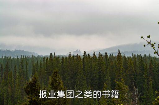 報業(yè)集團之類的書籍