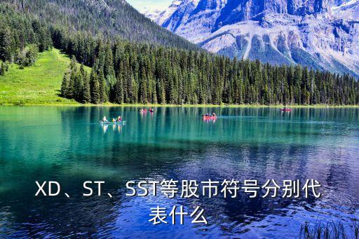 XD、ST、SST等股市符號(hào)分別代表什么